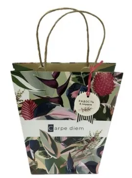 Пакет подарочный 23*23*10см TB Лакарт