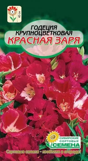 Семена годеция красная заря крупноцветковая 2г