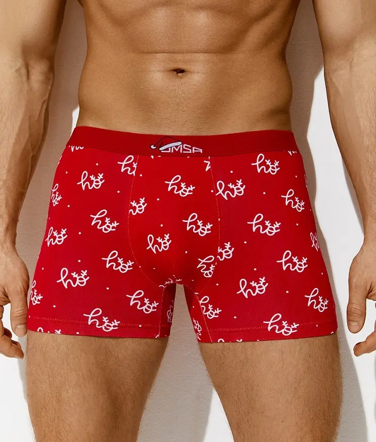 OMSA трусы мужские боксеры 1234-24B НГ ho-ho rosso р.46/M