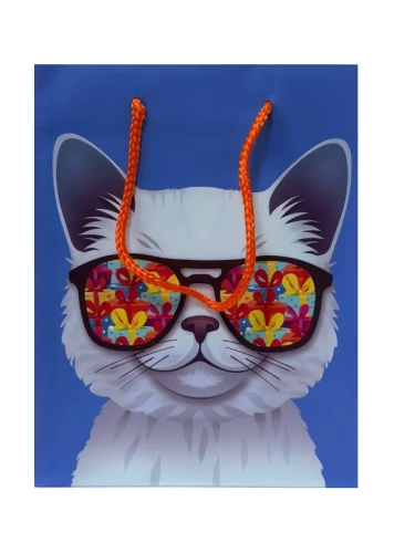 Пакет подарочный 18*23*10см кот в очках 93873FE