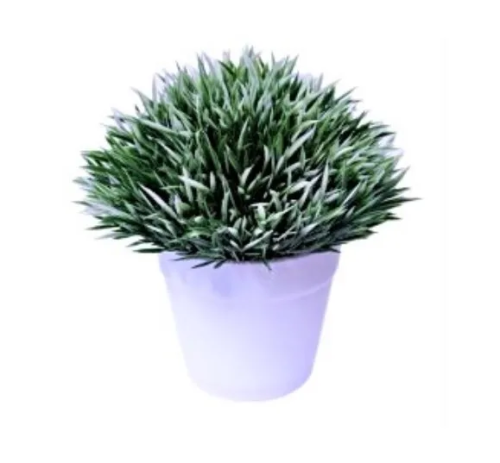 Растение декор. бонсай цветная травка 12см 1659305