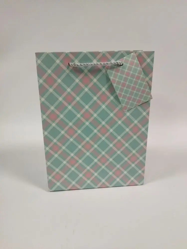 Пакет подарочный 18*24*8см Клетка EJ25234