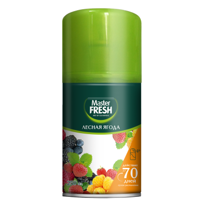 MASTER FRESH освежитель воздуха лесная ягода см.баллон 250мл
