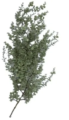 Декоративная гирлянда эвкалипта 1м EJ25508