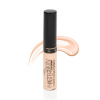 TRIUMPH консилер master skin concealer т.203
