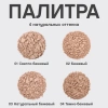 VIVIENNE SABO пудра для лица компактная матирующая mattriarcat т.01