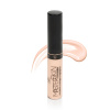 TRIUMPH консилер master skin concealer т.202