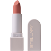 STELLARY помада для губ устойчивая rich nude т.19