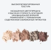 INFLUENCE BEAUTY палетка теней color algorithm т. 02