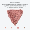 INFLUENCE BEAUTY румяна soft skills компактные т.04
