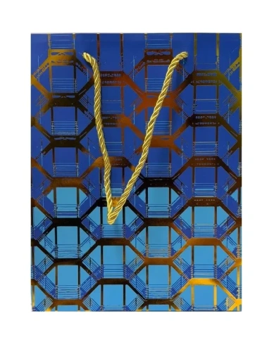 Пакет подарочный 23*18*10см Абстракция EL231107612