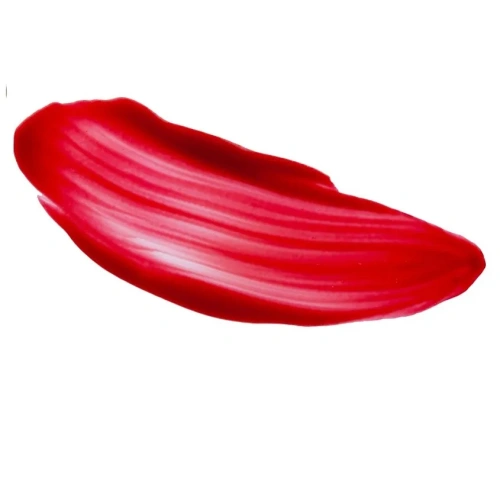 PARISA тинт д/губ show pgt2306 т.03