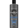 СЬЁСС MEN шампунь д/волос anti dandruff 450мл