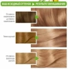 GARNIER COLOR NATURALS крем-краска д/волос т.8 пшеница