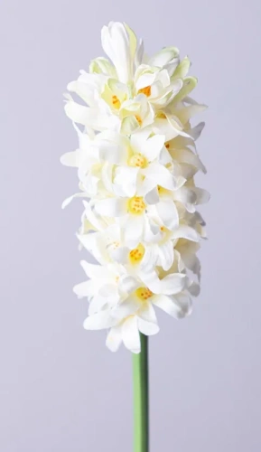 Цветок искусственный гиацинт 46см 287-510
