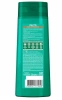 GARNIER FRUCTIS шампунь д/волос рост во всю силу 250мл