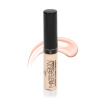 TRIUMPH консилер master skin concealer т.201