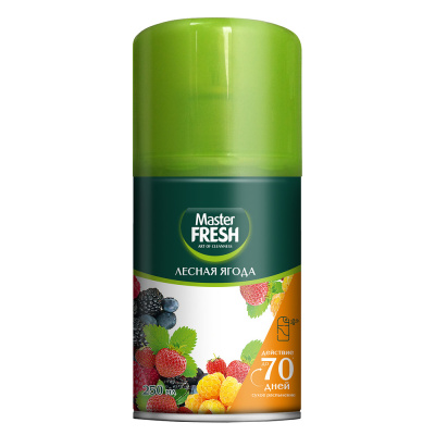 MASTER FRESH освежитель воздуха лесная ягода см.баллон 250мл