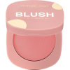 VIVIENNE SABO румяна для лица матовые macaron т.03
