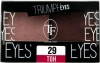 TRIUMPH тени д/век двухцветные cte33 т.29