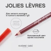 VIVIENNE SABO карандаш для губ jolies levres т.110