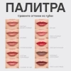 VIVIENNE SABO карандаш для губ jolies levres т.206