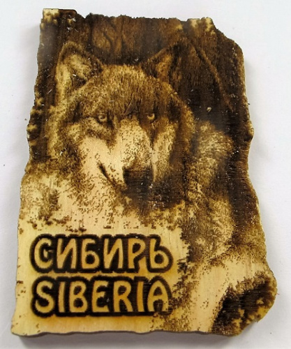 Магнит дизайн кедр сибирь волк 5*9см