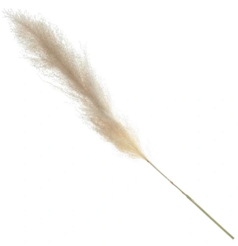 Ветка сухоцвет 10*10*90см 788850