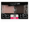 TRIUMPH тени для век двухцветные cte33 т.29