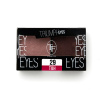 TRIUMPH тени для век двухцветные cte33 т.29