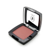 TRIUMPH румяна одноцветные blush ctbl08 т.83