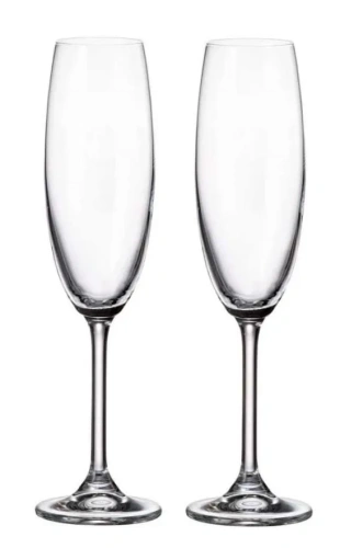 BOHEMIA Crystalite рюмка д/шампанского sylvia 2шт 220мл