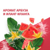 FA антиперспирант жен. ритмы острова фиджи dream 150мл спрей
