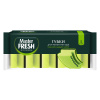 MASTER FRESH губки для посуды профилированные maxi 5шт