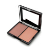 TRIUMPH румяна двухцветные triumph blush ctbl09 т.95
