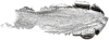 VIVIENNE SABO карандаш для глаз гелевый crayon contour des yeux liner virtuose т.605