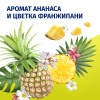 FA антиперспирант жен. ритмы острова гавайи fun 150мл спрей