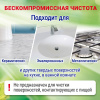 ПЕМОЛЮКС Эко чистящий порошок Про Нейчер 480г