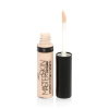 TRIUMPH консилер master skin concealer т.201