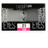 TRIUMPH тени для век двухцветные cte33 т.21