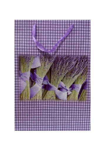 Пакет подарочный 44*31*12см Прованс EL231107553