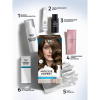 Краска-мусс для волос Глисс Кур Mousse Expert, тон: 7-00 тёмно-русый, 85 мл