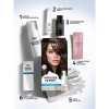 Краска-мусс для волос Глисс Кур Mousse Expert, тон: 4-65 шоколадный каштан, 85 мл
