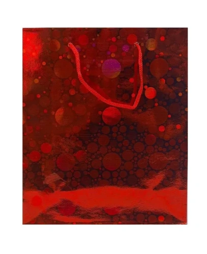 Пакет подарочный голография 18*21*7.5см EJ25292