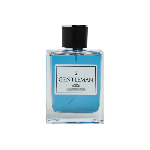 PARFUMS CONSTANTINE туалетная вода gentleman №6 муж. 100мл_